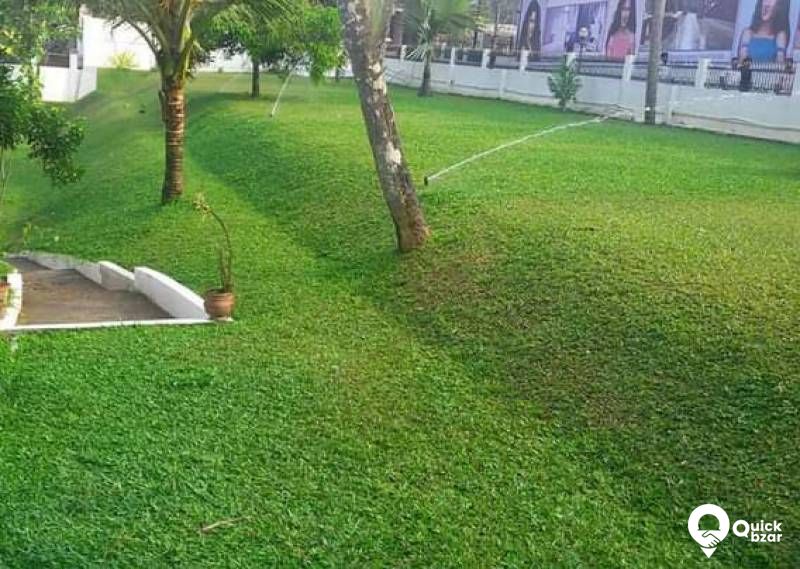 Hydroseeding Pearl Grass Lawn Bangalore